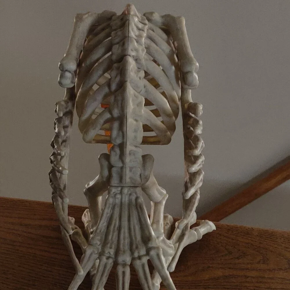 Realistic Rubbery Skeleton Vulture 14" Length x 10" Height - Picture 5 of 5